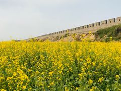 -商丘古城-应天书院