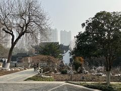 -红梅公园