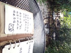 海边的猫和咖啡馆-海边的猫和咖啡馆