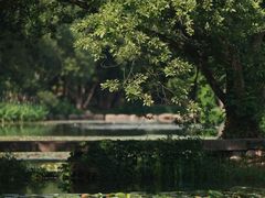 -旅马餐厅(茅家埠店)