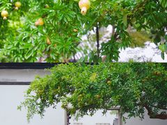 -常熟方塔园