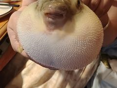 -永安鱼庄·镇江菜(丁卯店)