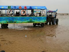 -刘家湾赶海园