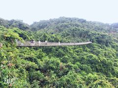 -亚龙湾热带天堂森林公园