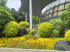 -郑州植物园