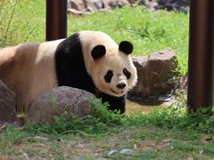 -杭州野生动物世界