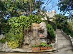 -九龙公园