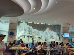 -帝企鹅自助餐厅•儿童岛•真企鹅(长隆企鹅酒店)