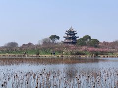 -上海海湾国家森林公园