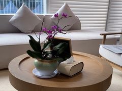 -泉·颂钵冥想·减压·疗愈SPA(前海店)