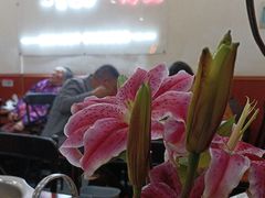-大理.老字号渝记酸萝卜乌鱼(古城总店)
