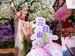 -江苏三台山国家森林公园