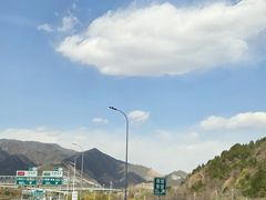 -闻道食府烙饼卷带鱼(原车耳营店原大觉寺店)