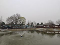 -尚庄度假村·庭台树下·户外烧烤·团建CS·轰趴营地(上庄水库店)