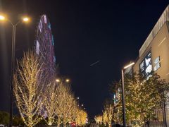 -南昌之星摩天轮