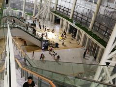 -梦之蓝青奥体育公园体育馆