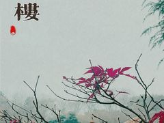 -临江·阅炉
