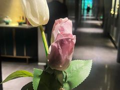 -新偶像健康汇•水疗SPA•豪华自助餐(世界城店)