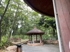 -广州市帽峰山景区