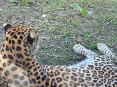 -沈阳森林动物园