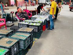 -三亚新鸿港水果一级批发市场
