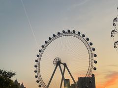 -海合安武汉极地海洋公园