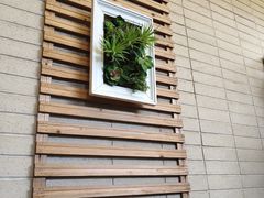 -先机泉水鸡汤(南山老君洞店)