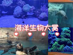 -海合安武汉极地海洋公园