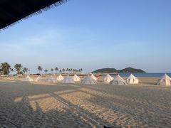 -小海豚•老字号海鲜餐厅(天涯店)