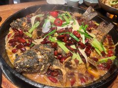 -老板恋上鱼(高新万达店)