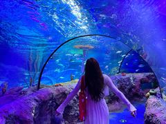 -沈阳海洋探索中心