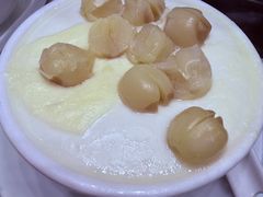 -义顺牛奶公司(新马路老店)