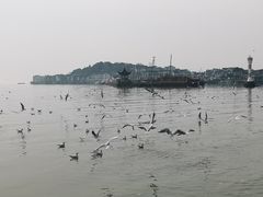 -苏州太湖湖滨国家湿地公园