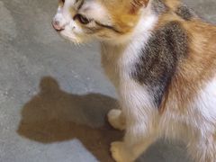 -看书吧(体育东横路店)