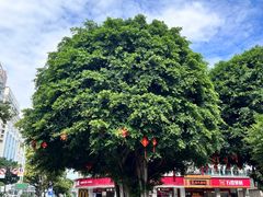 -三坊七巷历史文化街区