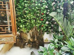 -丽江庭院·云南野生菌·海鲜火锅(鼓楼四合院店)