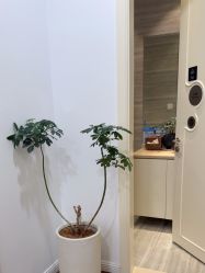 -颜蕾医美黄金微针水光美肤玻尿酸抗衰中心