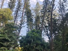 -金山植物公园