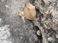 -滨河世纪广场公园