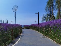 -金海湾滨江公园