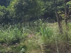 -飞天山旅游区