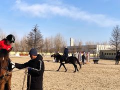-北京群众马术培训基地