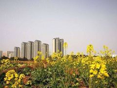 -三圣花乡旅游区