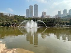 -龙头寺公园