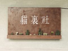 -猫里有甜