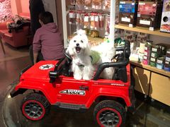 -百好乐宠物友好餐厅(朝外大街店)