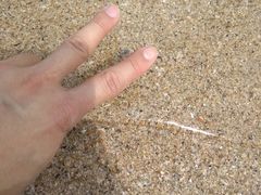 -西涌国际滨海旅游区