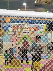 -胜利乐园(胜利购物广场店)