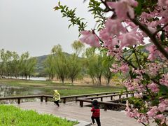 -长广溪湿地公园