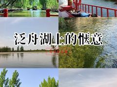 -白洋淀景区